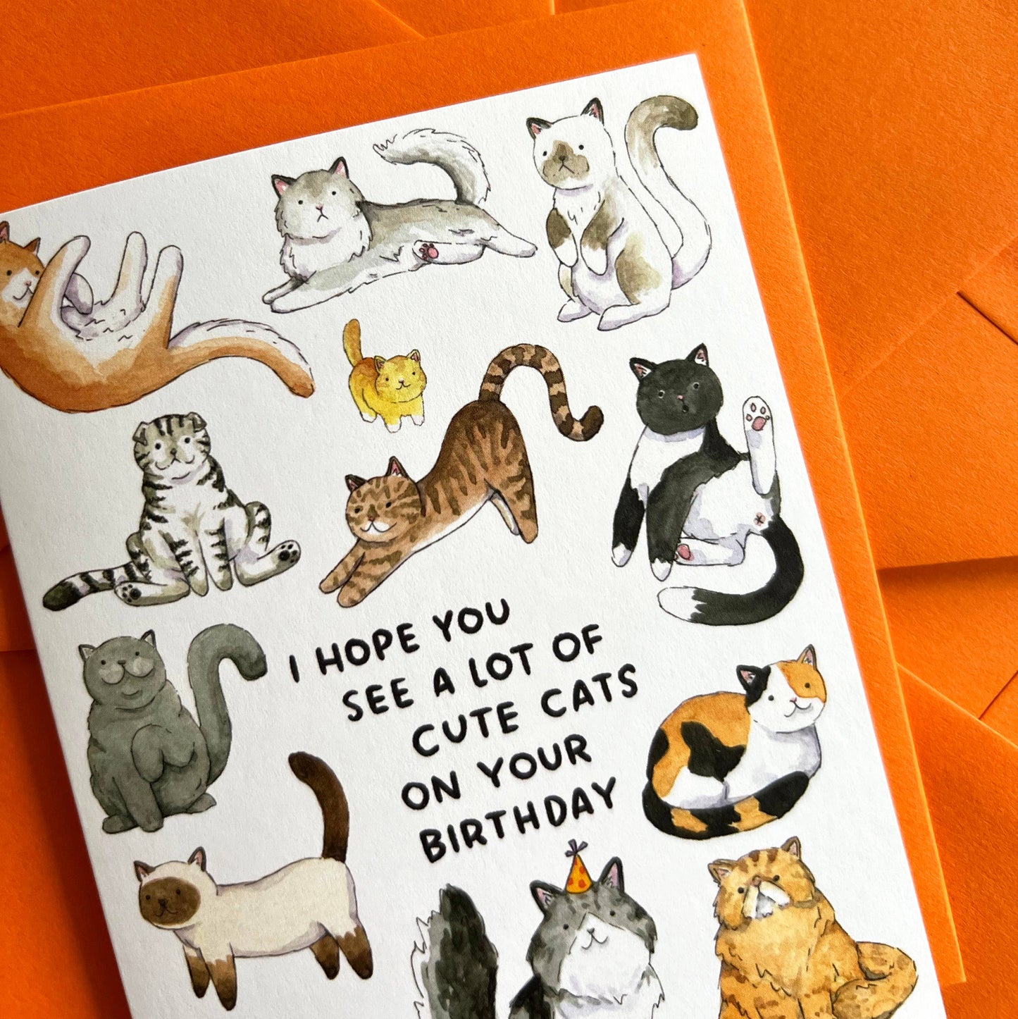 "Hope You See A Lot Of Cute Cats" Birthday Card