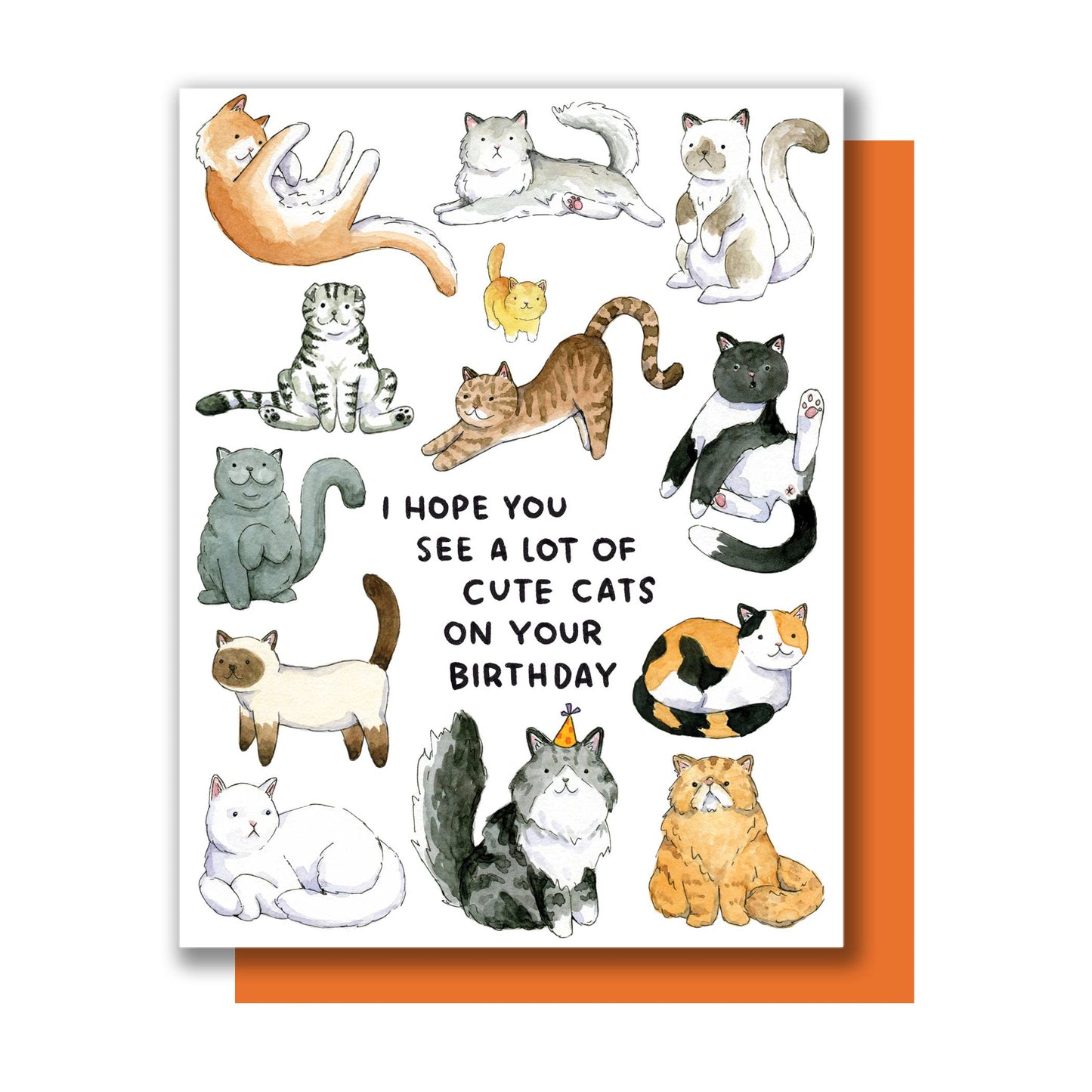 "Hope You See A Lot Of Cute Cats" Birthday Card