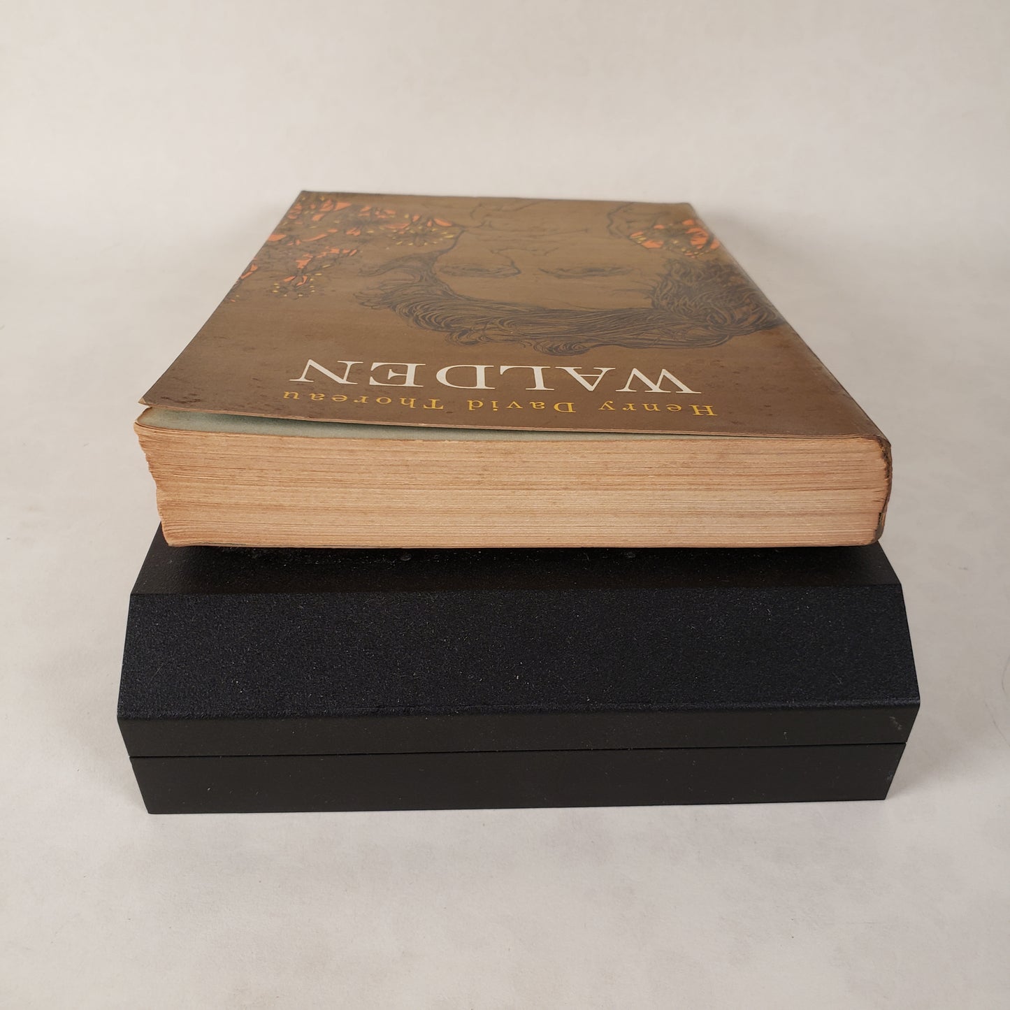 Walden - 1962 Paperback