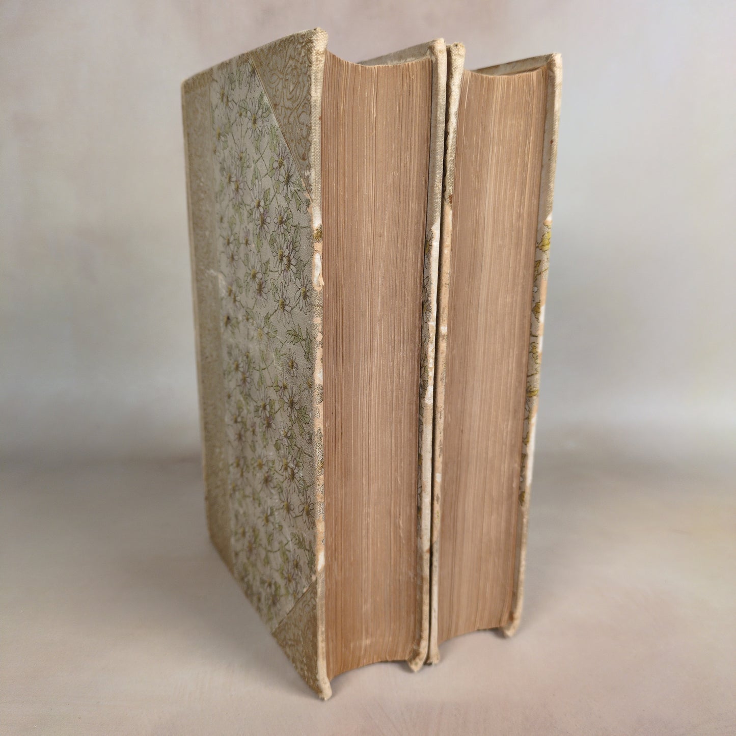 Les Misérables - 1887 Two-Volume Hardcover Set