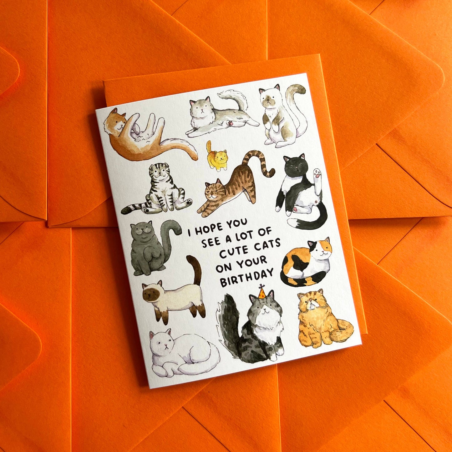"Hope You See A Lot Of Cute Cats" Birthday Card