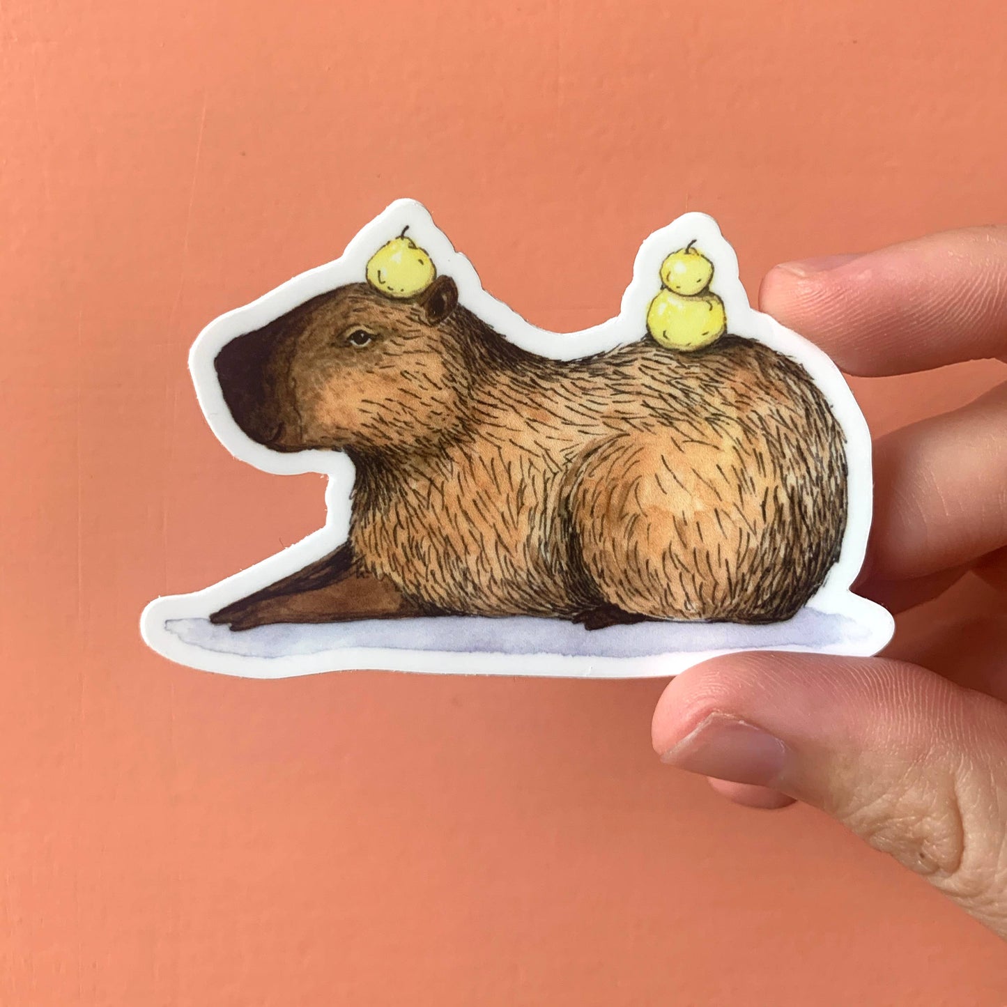 Capybara Laying Down With Yuzu Sticker