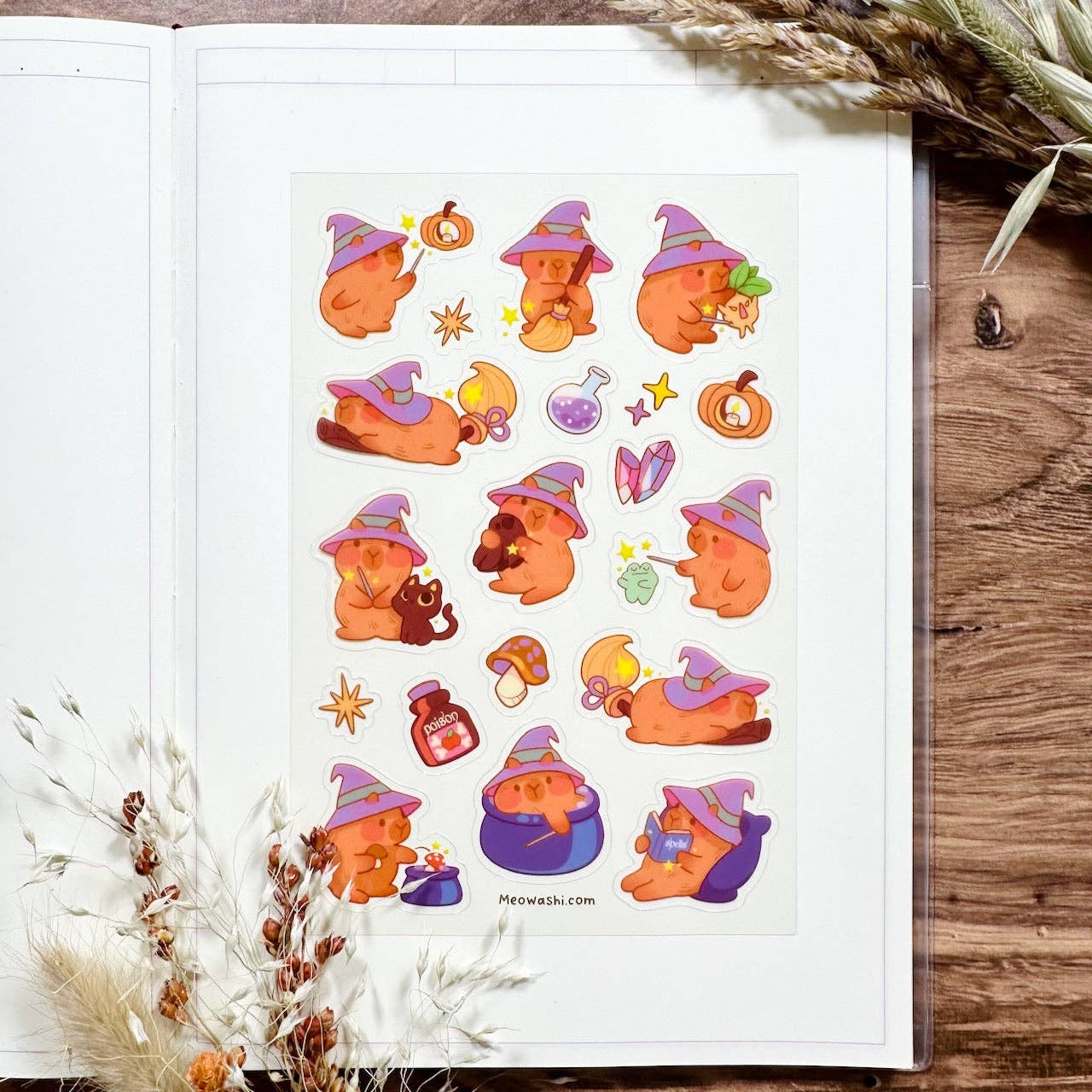 Wizard Capybara Clear Sticker Sheet