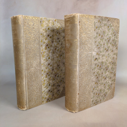 Les Misérables - 1887 Two-Volume Hardcover Set
