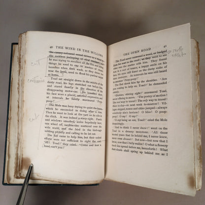 The Wind in the Willows (1908 Second Edition)