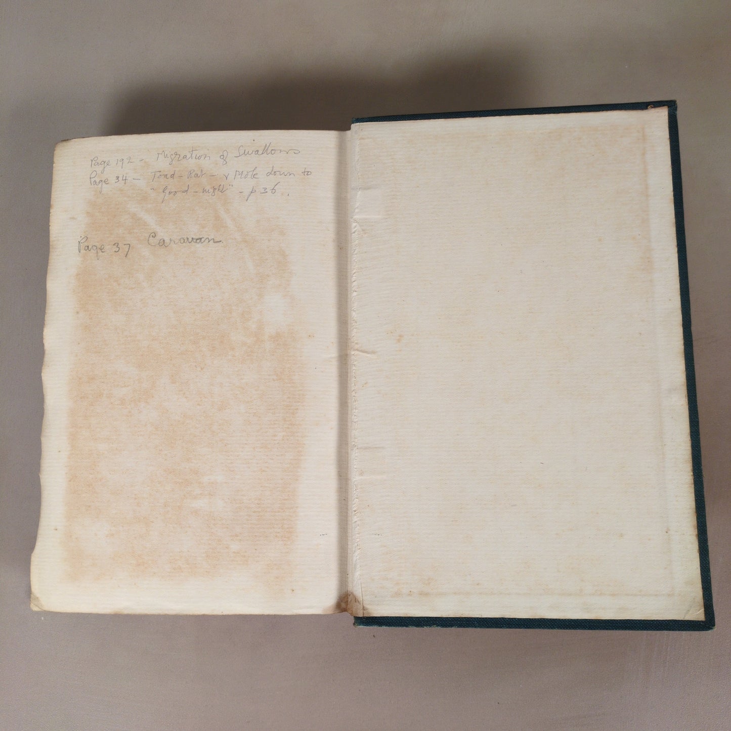 The Wind in the Willows (1908 Second Edition)