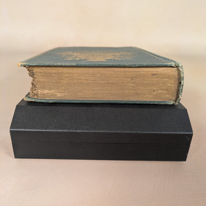 The Wind in the Willows (1908 Second Edition)