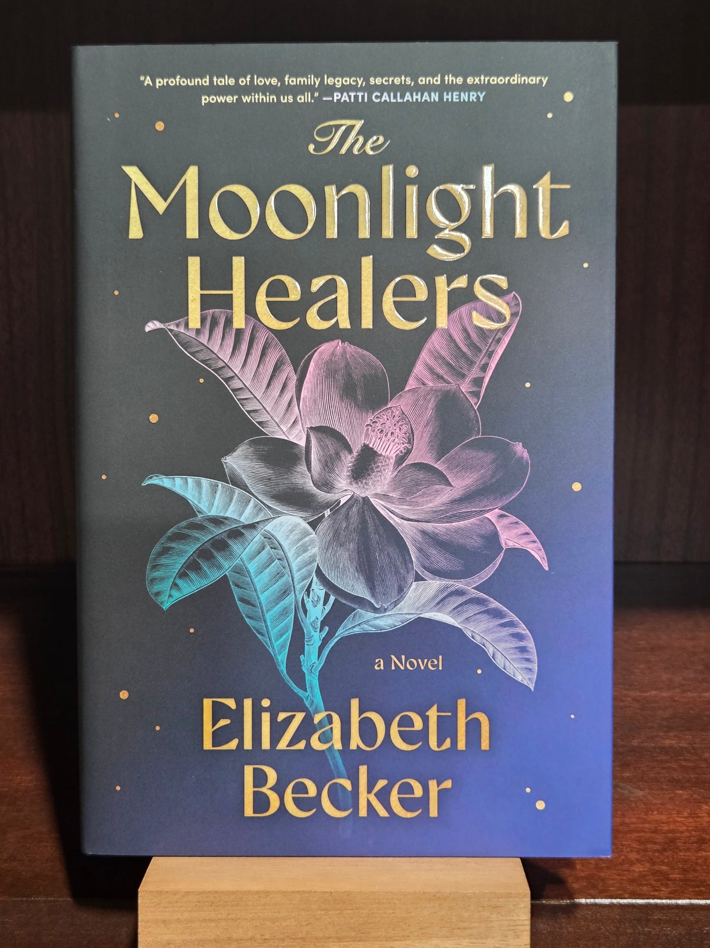 The Moonlight Healers