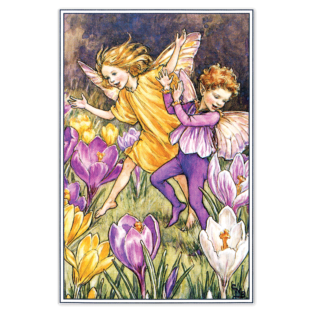 Flower Fairies - Everyday Boxed Postcards