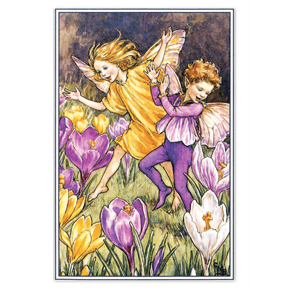 Flower Fairies - Everyday Boxed Postcards