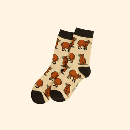 Kids Capybara Socks