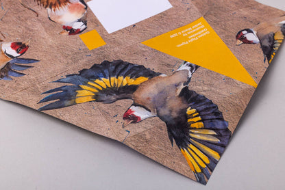 Golden Flight Pigeon Folding Letter Set (Pack of 6)