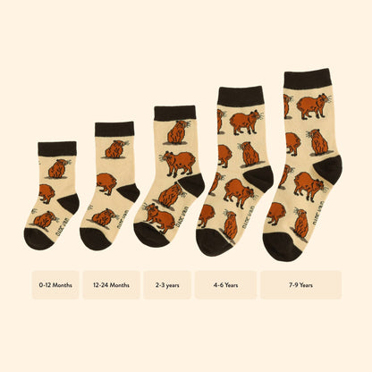 Kids Capybara Socks
