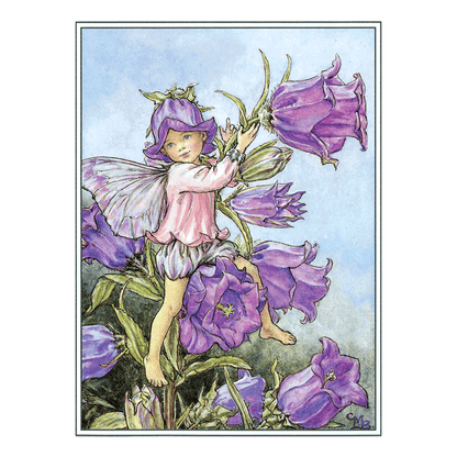 Flower Fairies - Everyday Boxed Postcards