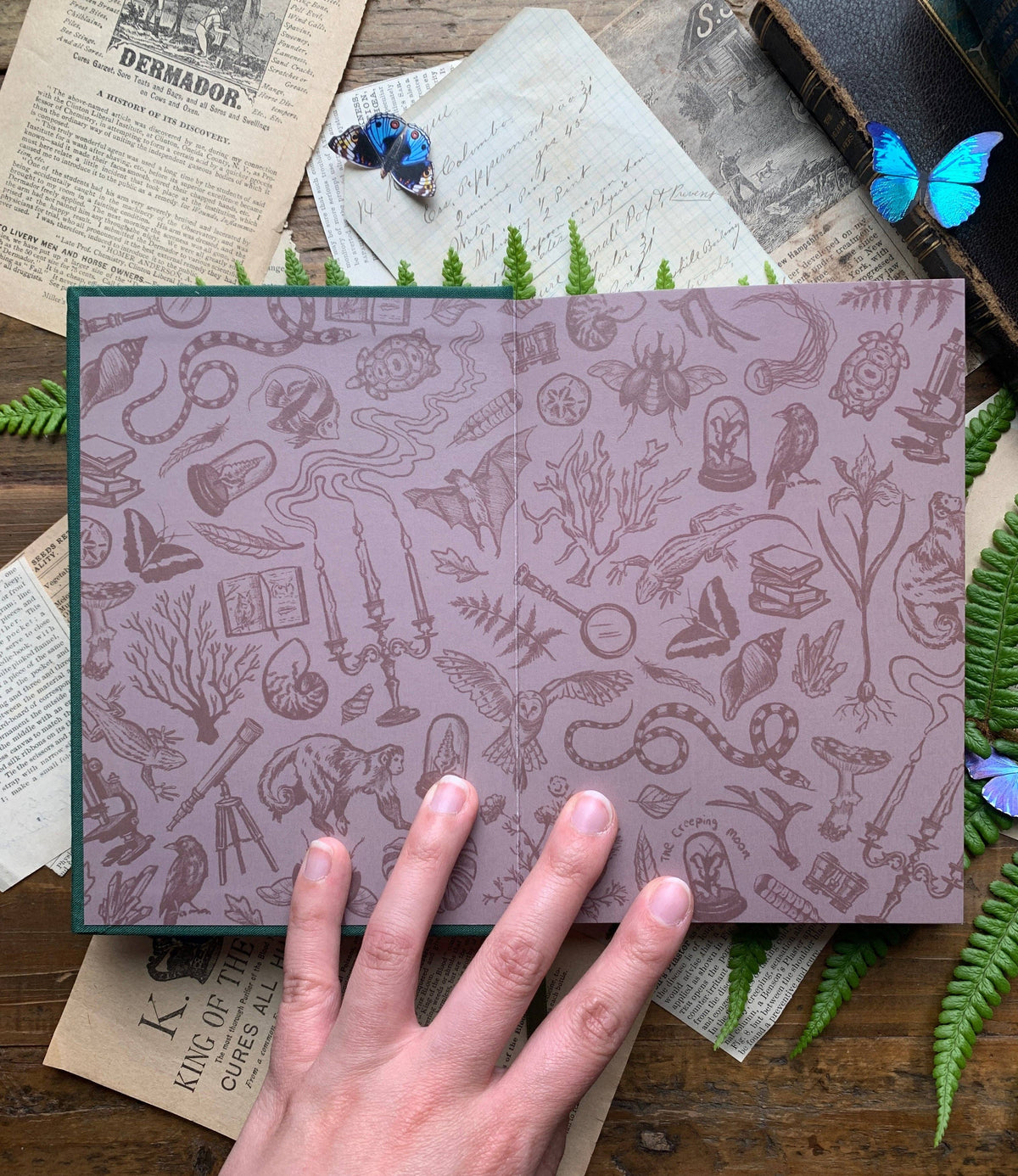 The Botanist - B6 Vegan Watercolor Sketchbook, 300gsm