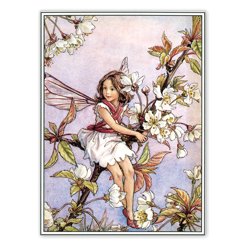 Flower Fairies - Everyday Boxed Postcards