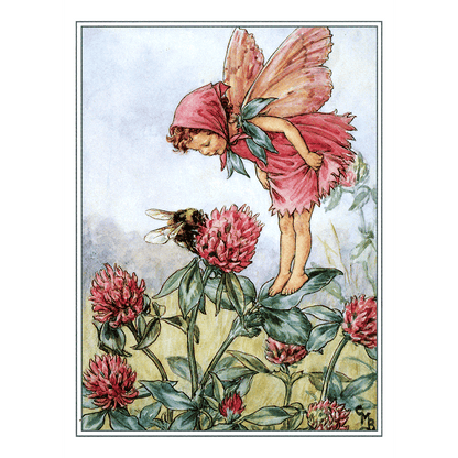 Flower Fairies - Everyday Boxed Postcards