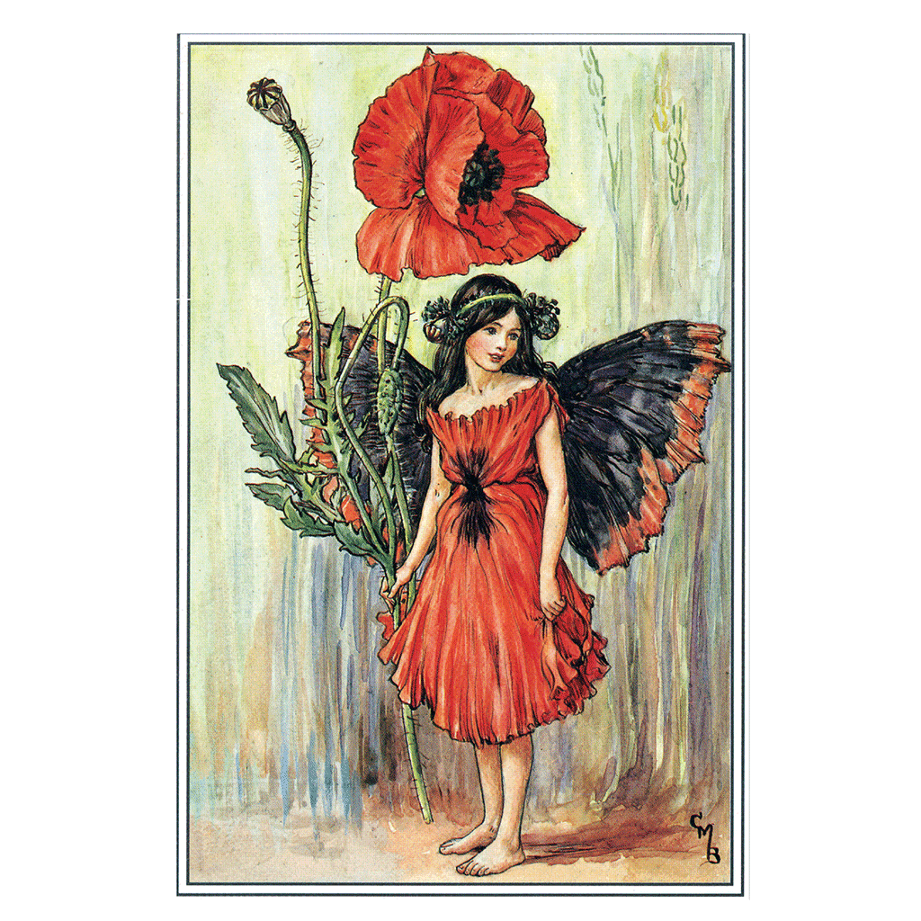 Flower Fairies - Everyday Boxed Postcards