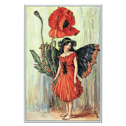 Flower Fairies - Everyday Boxed Postcards