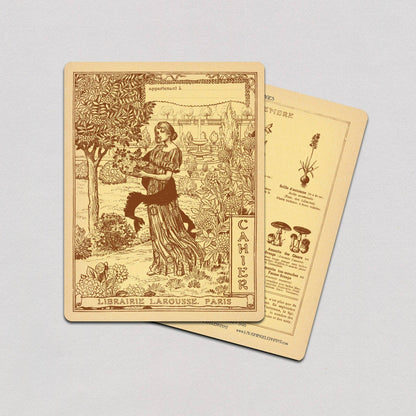 Larousse Books - Vintage-Style French Notebook