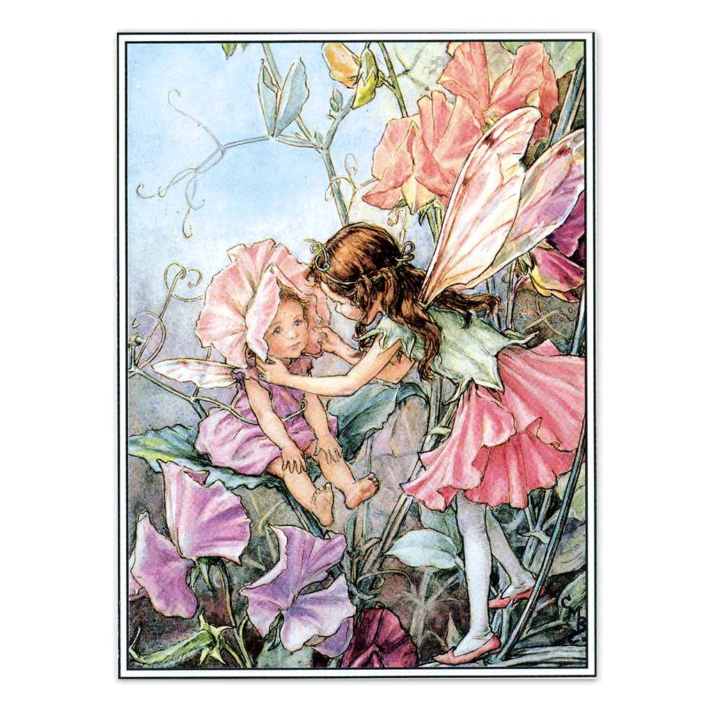 Flower Fairies - Everyday Boxed Postcards