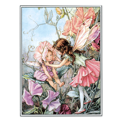 Flower Fairies - Everyday Boxed Postcards