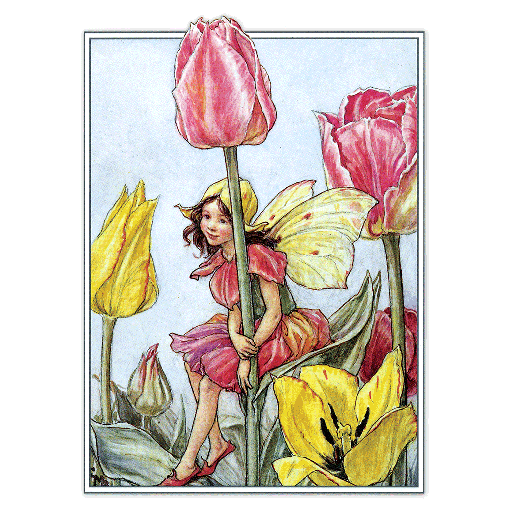Flower Fairies - Everyday Boxed Postcards