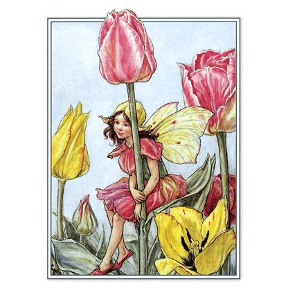 Flower Fairies - Everyday Boxed Postcards