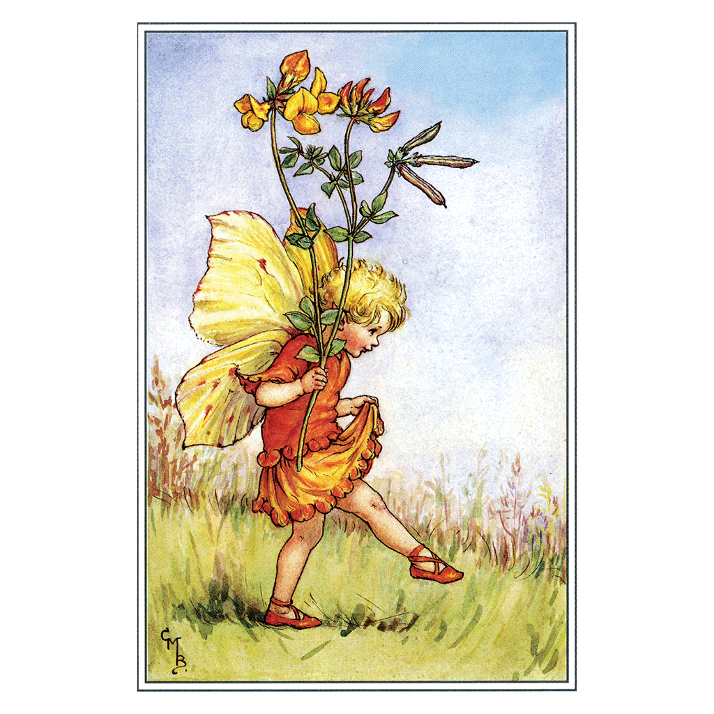 Flower Fairies - Everyday Boxed Postcards