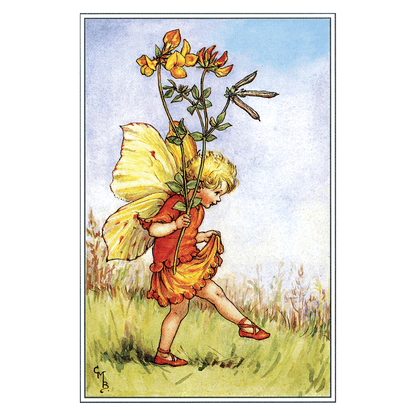Flower Fairies - Everyday Boxed Postcards