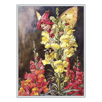 Flower Fairies - Everyday Boxed Postcards