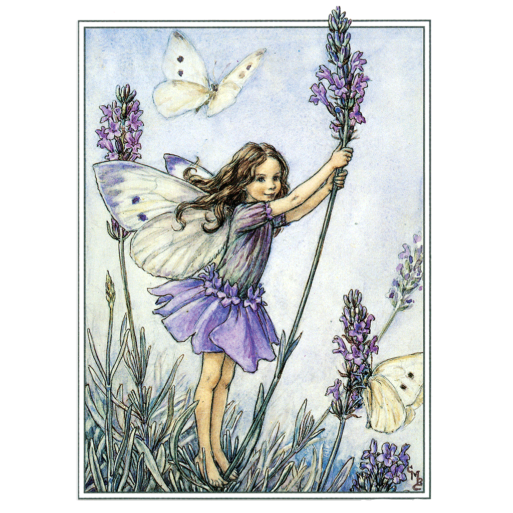 Flower Fairies - Everyday Boxed Postcards