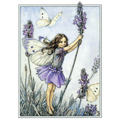 Flower Fairies - Everyday Boxed Postcards