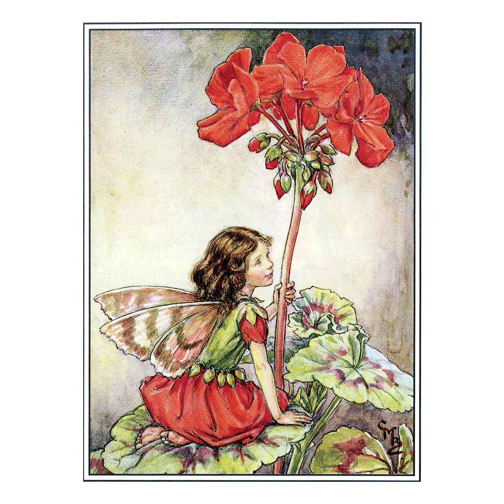 Flower Fairies - Everyday Boxed Postcards