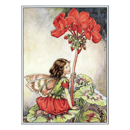Flower Fairies - Everyday Boxed Postcards