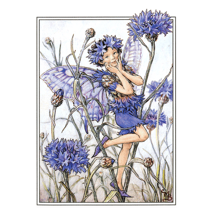 Flower Fairies - Everyday Boxed Postcards