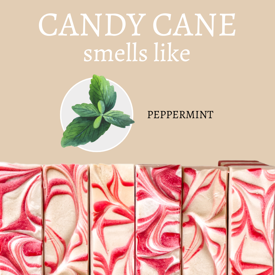 "Candy Cane" Christmas Handmade Bar Soap