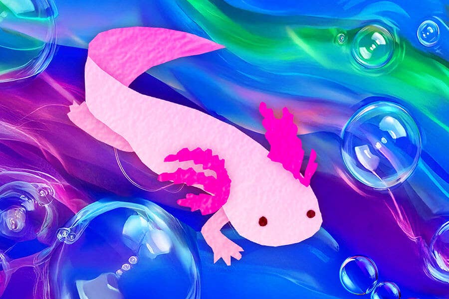 Axolotl Micro Puzzle