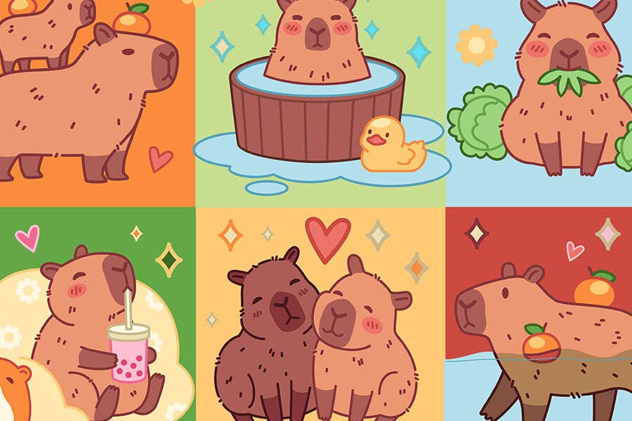 Capybara Micro Puzzle Pack