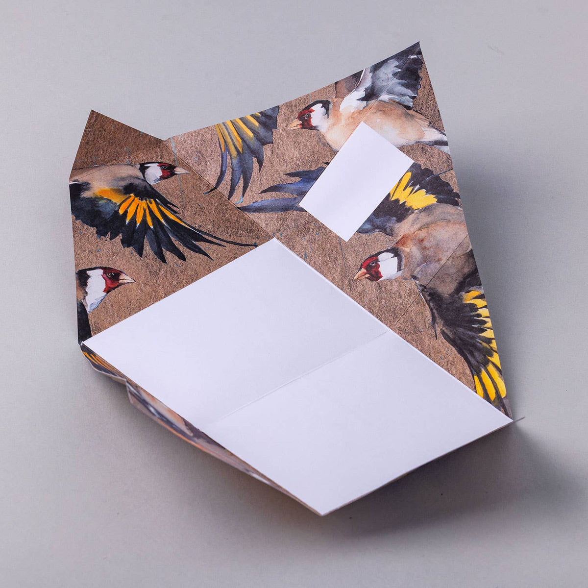 Golden Flight Pigeon Folding Letter Set (Pack of 6)