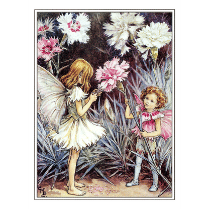Flower Fairies - Everyday Boxed Postcards